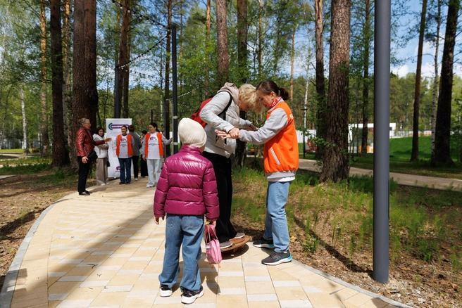Источник: «Синара-Долголетие»