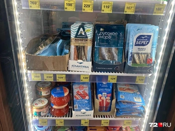 Источник: Никита Кифорук / 72.RU