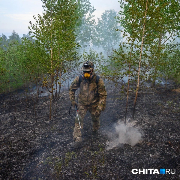 Источник: Олег Федоров / CHITA.RU