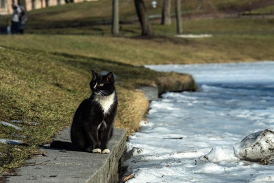 В Иркутске в воскресенье можно гулять без шапки