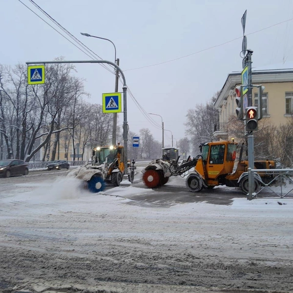 Источник: Комитет по благоустройству Санкт-Петербурга