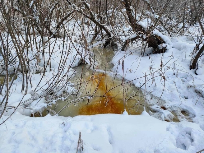 Цвет воды в загрязненной реке | Источник: Минприроды НСО