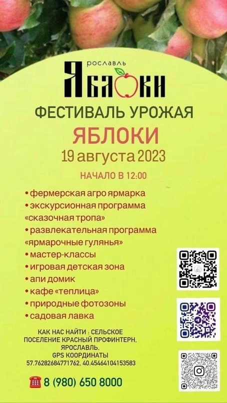 Программа праздника | Источник: Некрасовский район / vk.com