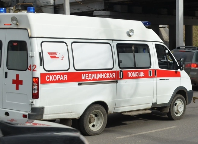 В Подмосковье юноша вытолкнул своего 11-летнего друга из окна 17-го этажа | ya62.ru