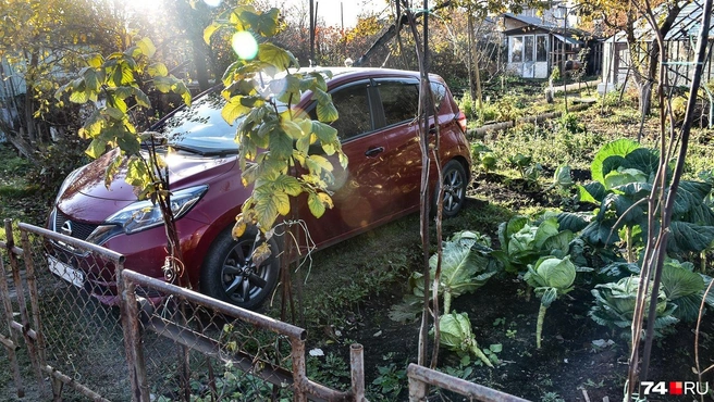 Машина в огороде. Тут так заведено. Гости паркуются в тыкве, хозяин в капусте | Источник: Артем Краснов