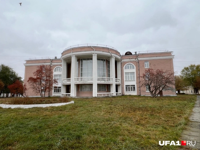 Назойливая птица попала в кадр | Источник: Андрей Бирюков / UFA1.RU