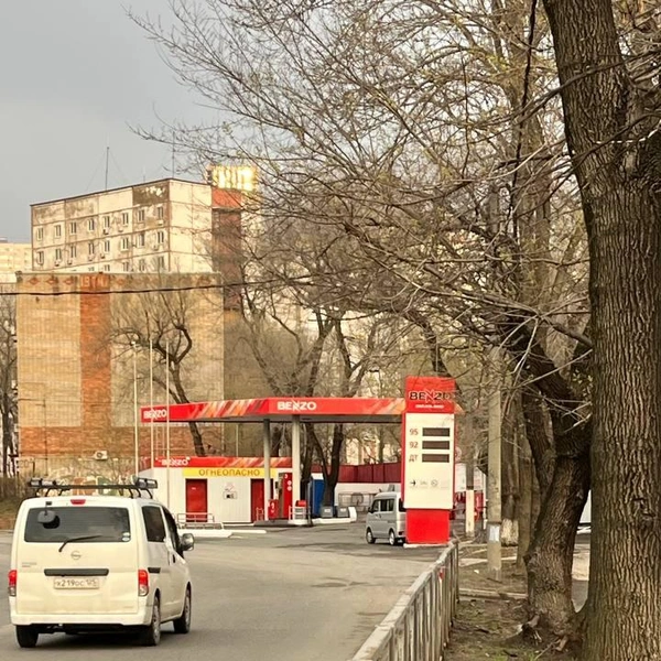 Источник: Елена Буйвол / VLADIVOSTOK1.RU