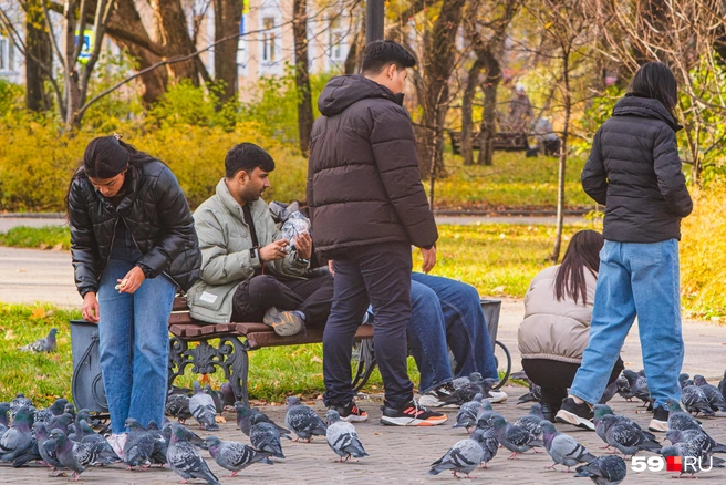 Обычная картина в сквере у Оперного: пермяки подкармливают голубей | Источник: Тимофей Калмаков / 59.RU