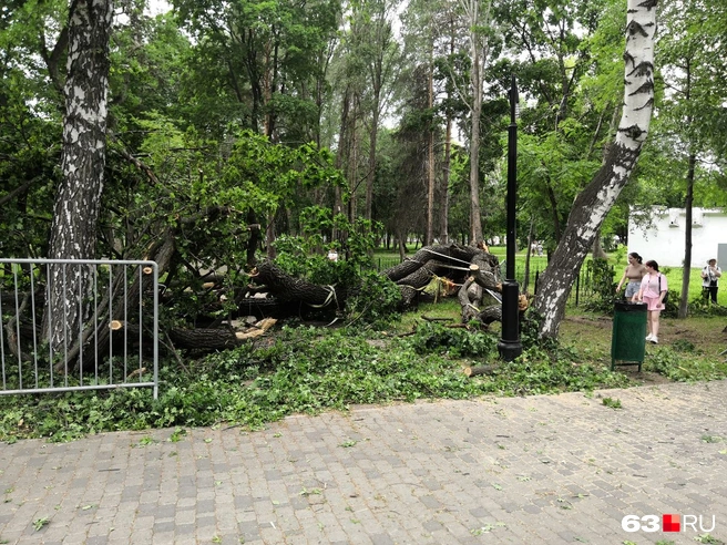 Источник: Евгений Зиновьев