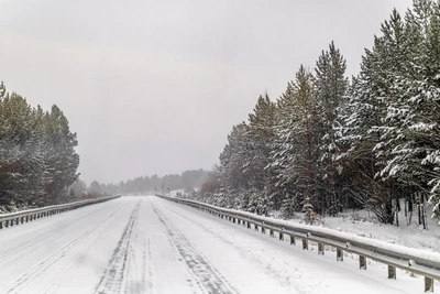 В Курганской области отменили ограничения для автобусов и грузовиков