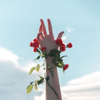 Аватарка larataro