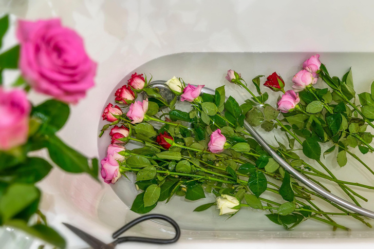 Как дольше сохранить цветы в вазе свежими: лайфхаки и подборка самых стойких цветов