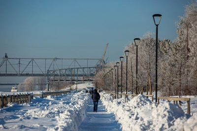 Новосибирцы о сугробном психозе из-за затяжной зимы