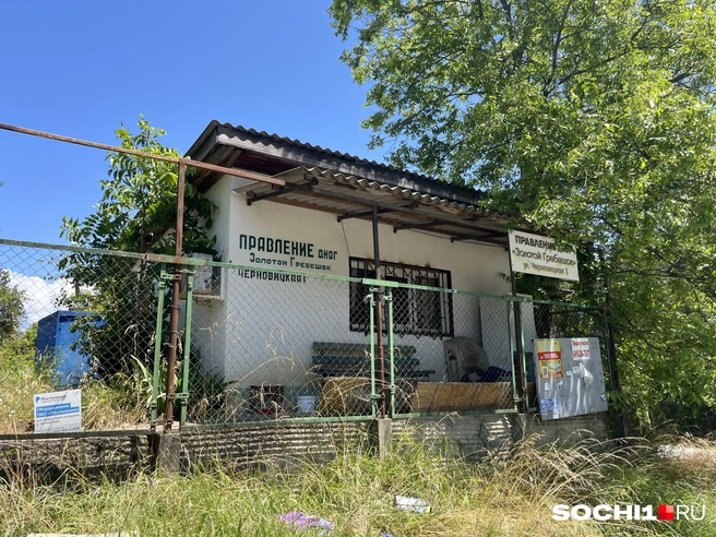 Правление СНТ заросло травой и мусором | Источник: Анна Грицевич / SOCHI1.RU