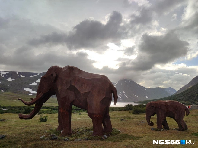 Мамонты видны издалека | Источник: Александр Зубов / NGS55.RU
