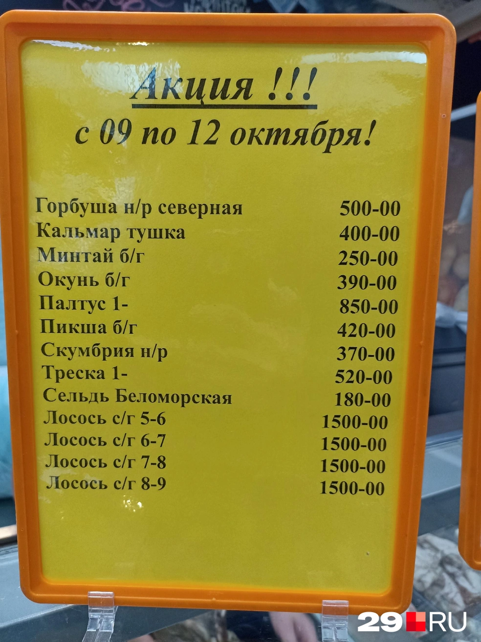 Источник: Иван Митюшёв / 29.RU