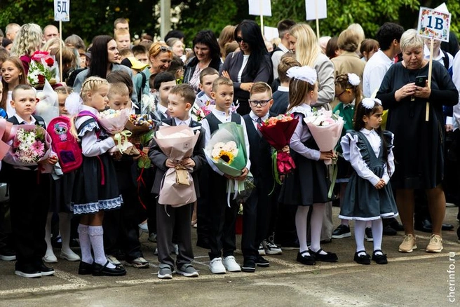 Источник: st.cherinfo.ru