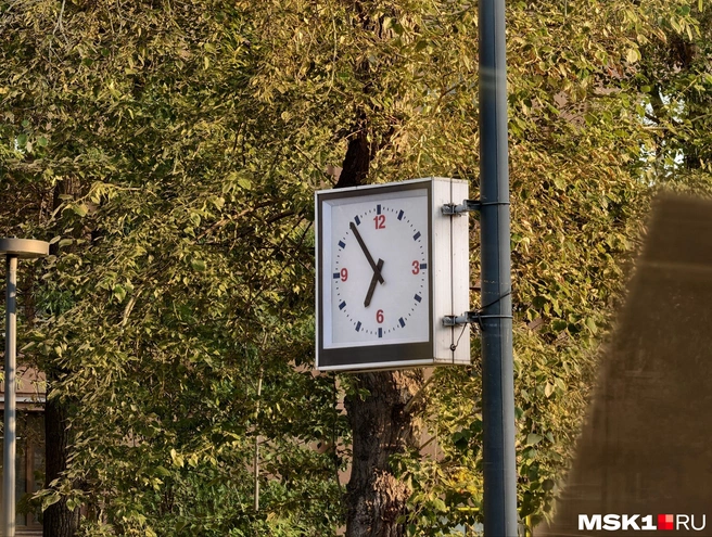 Обзор, как выглядит Москва из окон последнего троллейбуса города | Источник: Дмитрий Бондарев / MSK1.RU