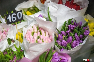 Ярославль открывает цветочные базары к 8 Марта