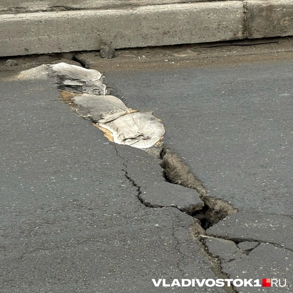 Источник: Елена Буйвол / VLADIVOSTOK1.RU