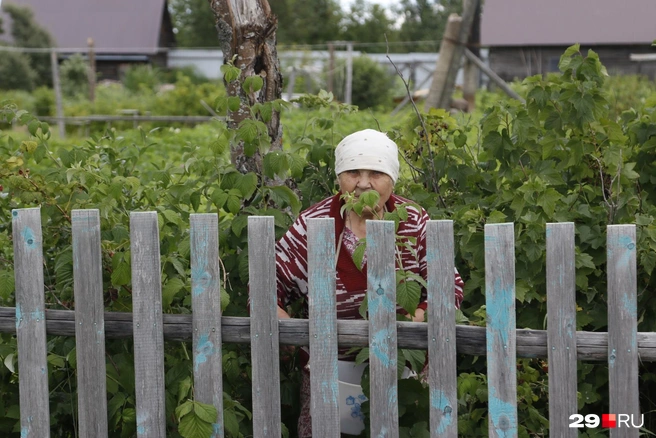 Жители не отказались от своих огородов после взрыва ракеты | Источник: Сергей Яковлев