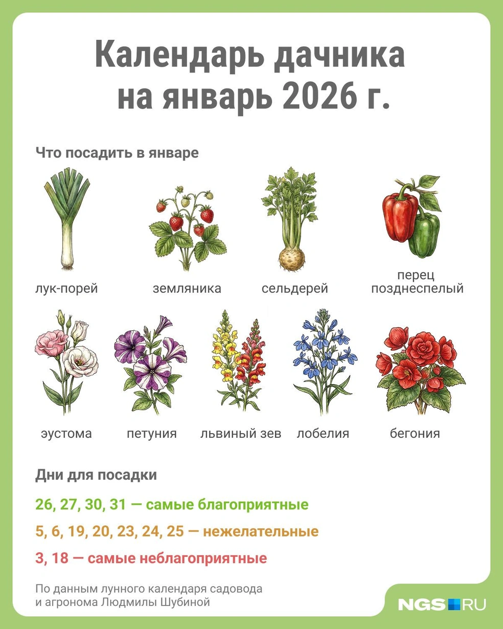 Источник: Юрий Орлов / Городские медиа