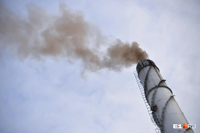 Крематорий | Источник: Максим Воробьев / E1.RU