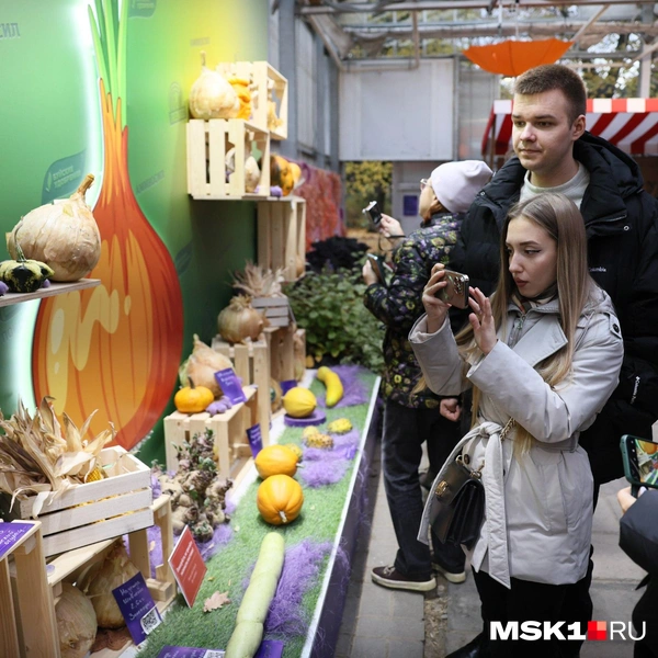 Источник: Артем Устюжанин / MSK1.RU