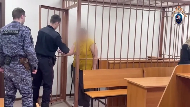 Красноярцы возмущены ситуацией  | Источник: ГСУ СК России по Красноярскому краю и Республике Хакасия / Telegram