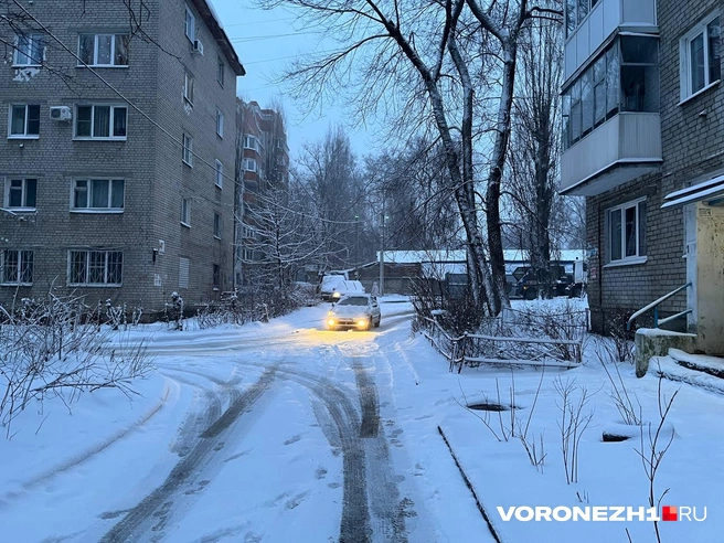 В феврале в Воронеж наконец решила прийти настоящая зима | Источник: Полина Листопад / Voronezh1.ru