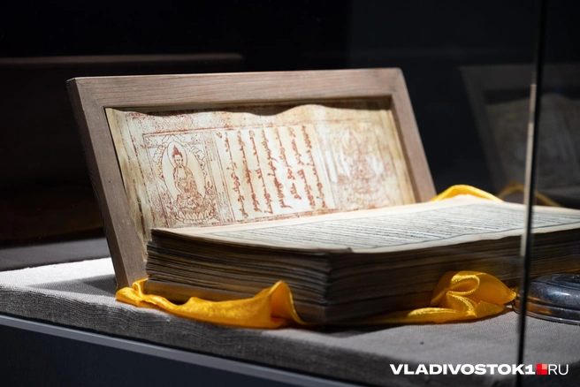 Источник: Елена Буйвол / VLADIVOSTOK1.RU