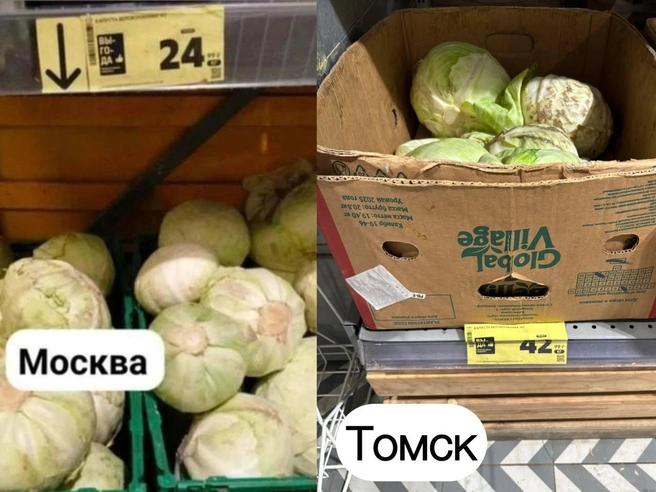 Томская капуста почти в два раза дороже овоща из столицы  | Источник: Мария Лобанова / NGS70.RU 