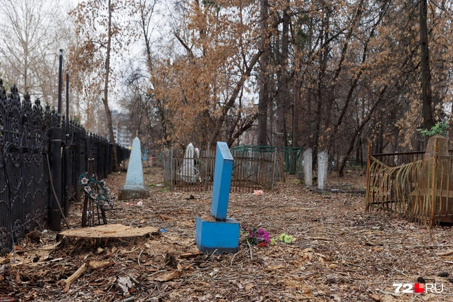 Начинаем осмотр с части кладбища, примыкающей к улице Республики. И сразу видим среди кучи веток и старой листвы свежий спил | Источник: Ирина Шарова / 72.RU