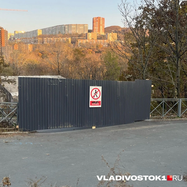 Источник: Елена Буйвол / VLADIVOSTOK1.RU