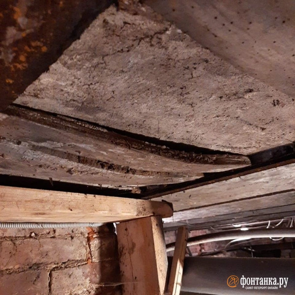 Источник: «Фонтанка.ру»