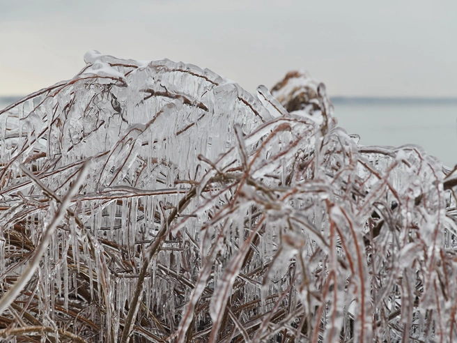 Инцидент произошел 20 октября | nsk54.online