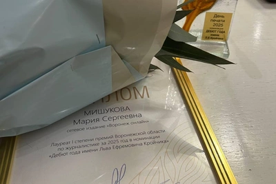 Журналисты Voronezh1.ru победили в областном и городском конкурсах