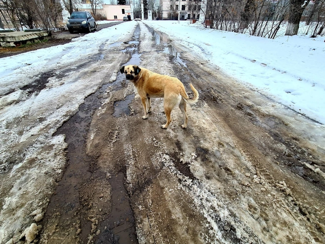 Случайные прохожие нередко становятся неотъемлемыми элементами художественных снимков. | Источник: Константин Завриков / V1.RU