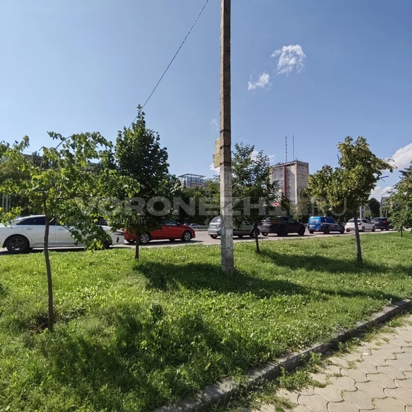 Ряд машин тянется в сторону памятника Славы, но в два раза короче, чем обычно | Источник: Андрей Пашинский / Voronezh1.ru