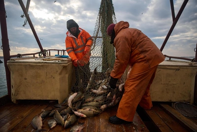 Murmansk Fish Exports Surge, China Becomes Top Buyer