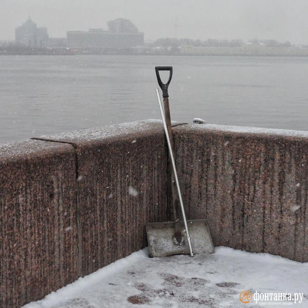 Источник: Михаил Огнев / FONTANKA.RU 