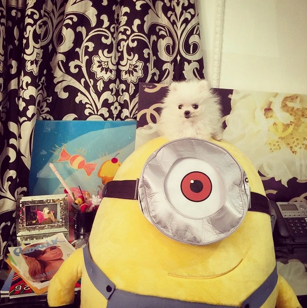 Источник: @parishilton