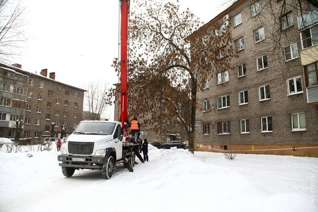 Источник: st.cherinfo.ru