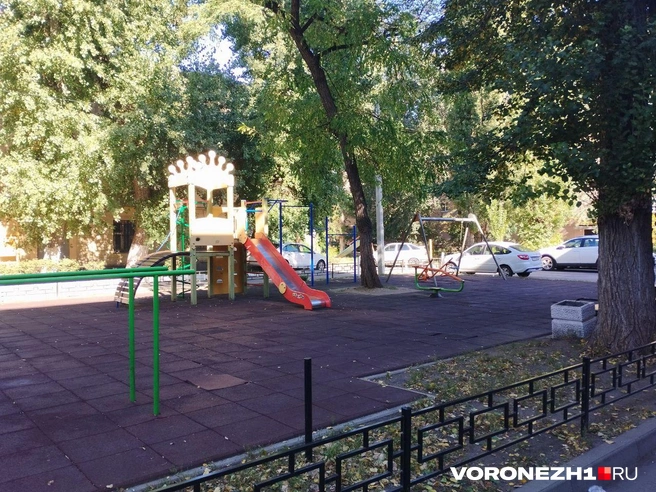 Источник: Дмитрий Волгин / Voronezh1.ru