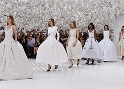 Кутюрная коллекция Christian Dior осень-зима 2014/15