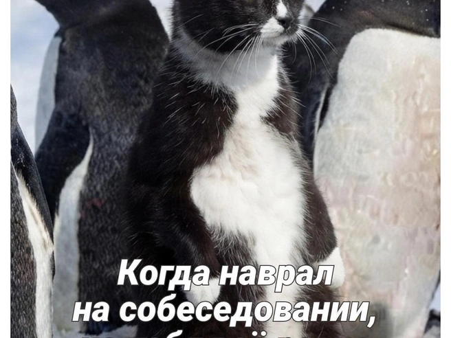 Главное — он старается | Источник: Полина Авдошина / Городские медиа