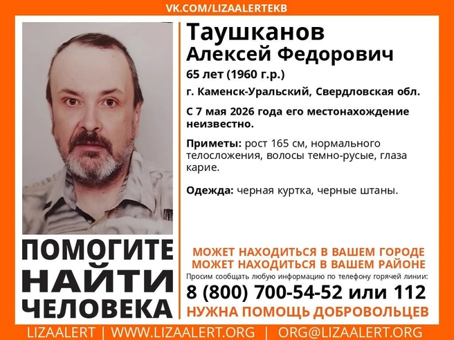 Источник: «ЛизаАлерт» Свердловской области