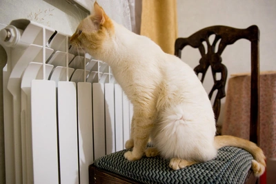 Мэр Краснодара объяснил сроки отключения отопления