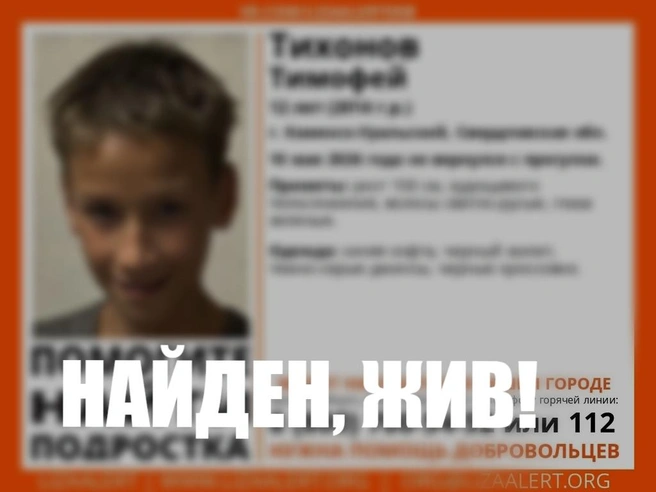 Источник: «ЛизаАлерт»