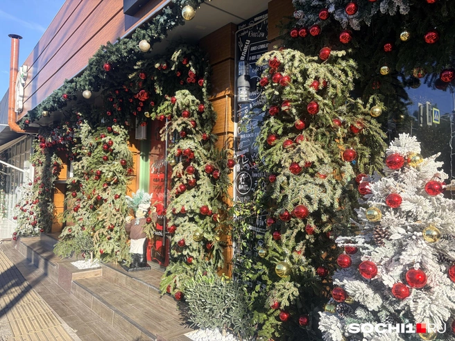 В новогодние каникулы в Сочи и Абхазии будет мало солнца  | Источник: Анна Грицевич / SOCHI1.RU